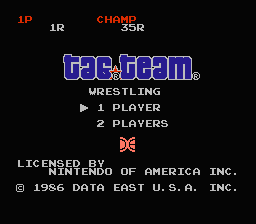 Tag Team Wrestling title screenshot